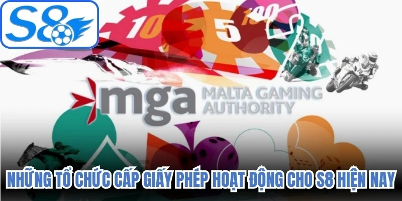 Những tổ chức cấp giấy phép hoạt động cho S8 hiện nay 